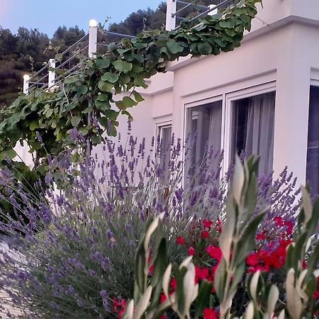Vis - Luxury Holiday Villa With Swimming Pool Ngoại thất bức ảnh